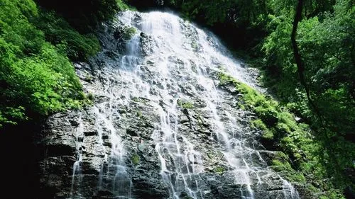 高端高质量高端